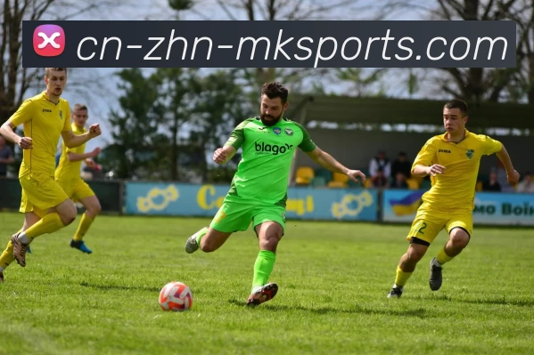 MK体育APP 封面图